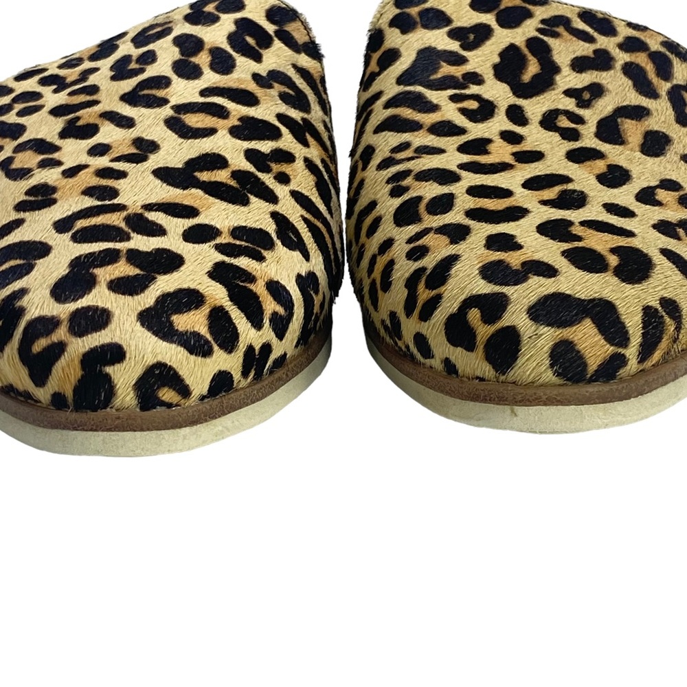Rollie Madison Mule Camel Leopard Pony Mules - Picture 2 of 15
